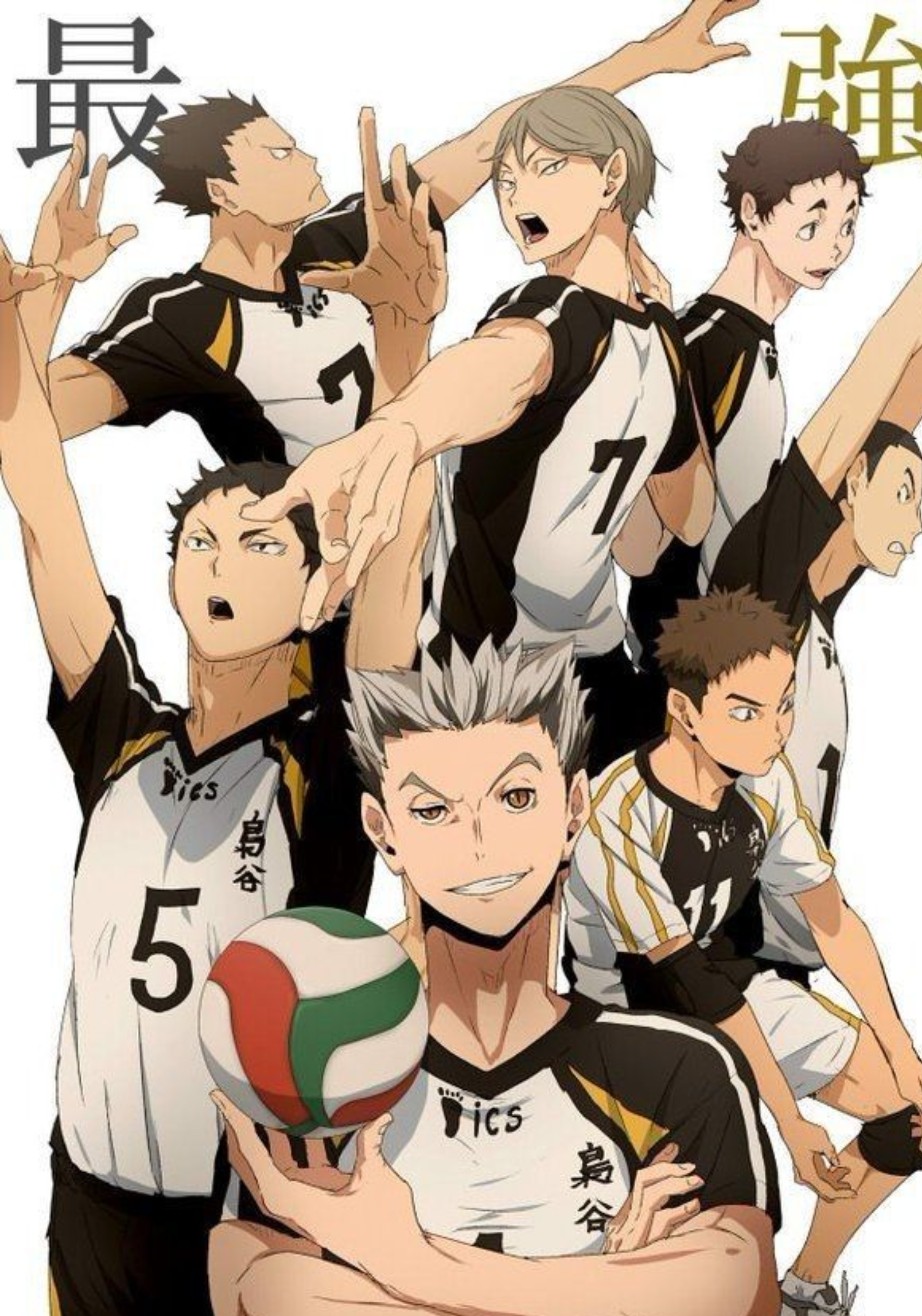 Haikyuu Team