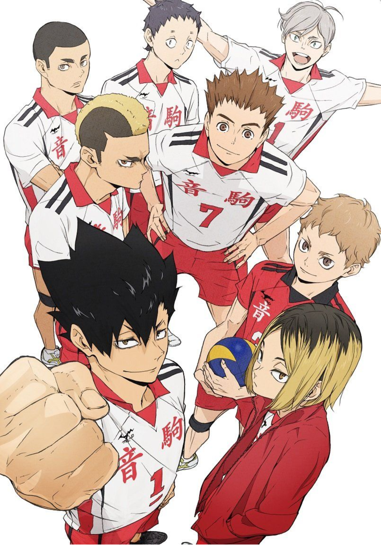 Haikyuu Team