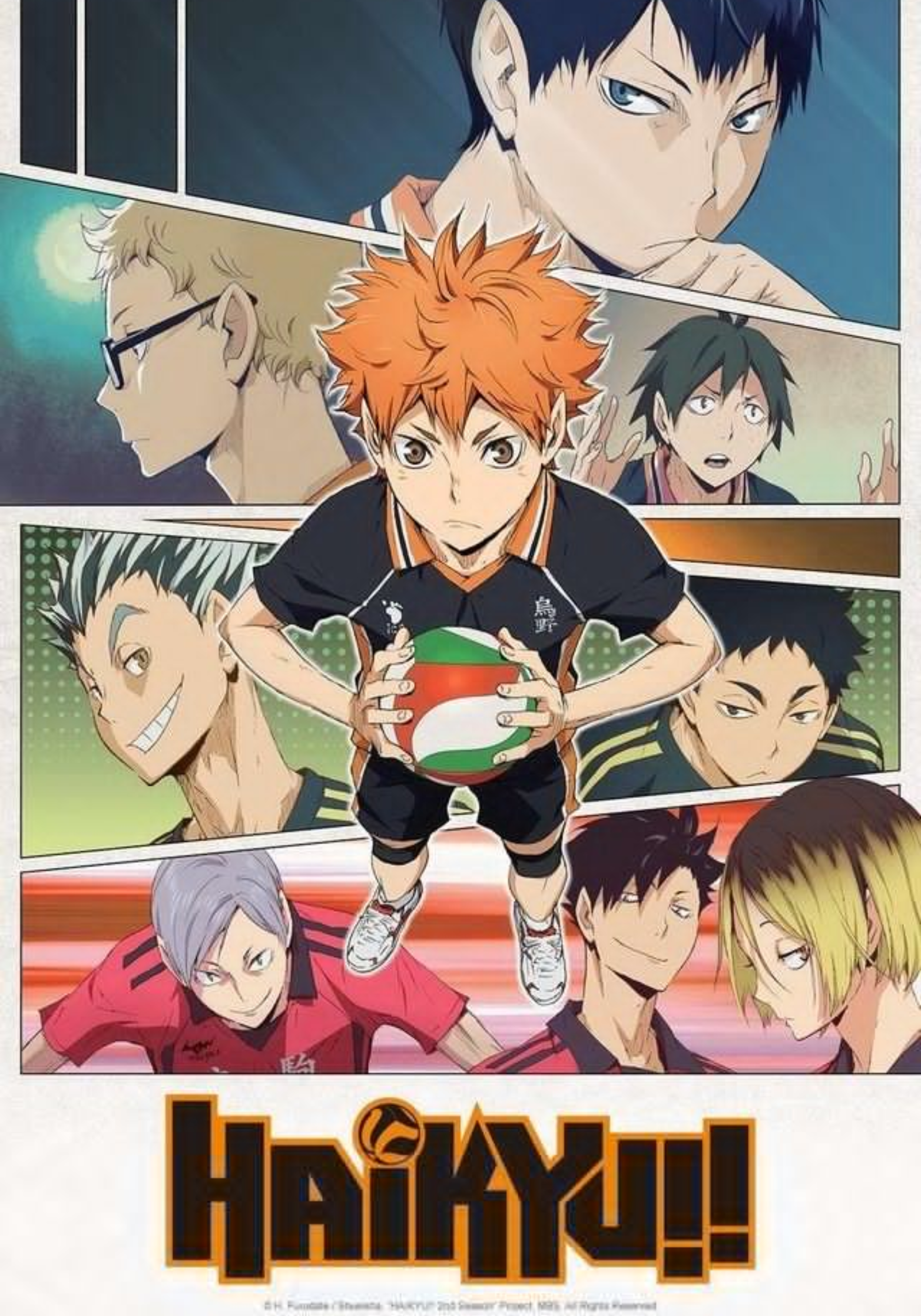 Haikyuu Team